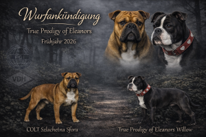 067856B9-B0DB-46CD-9E8B-1E84D19BD509